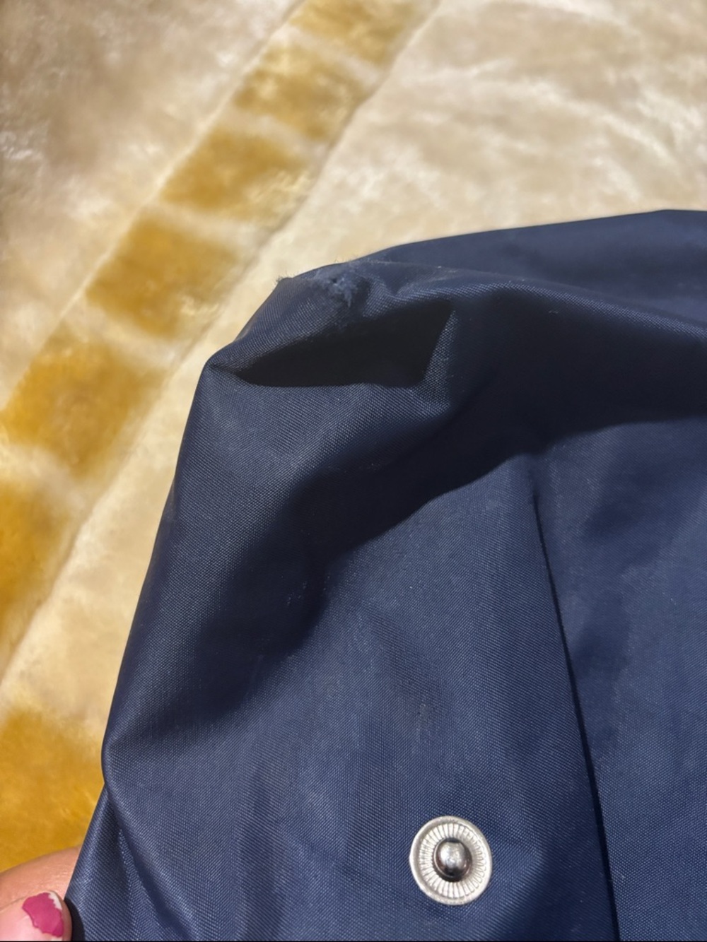 Longchamp Limitee Edition Embroidered Tote Bag - Picture 10 of 12